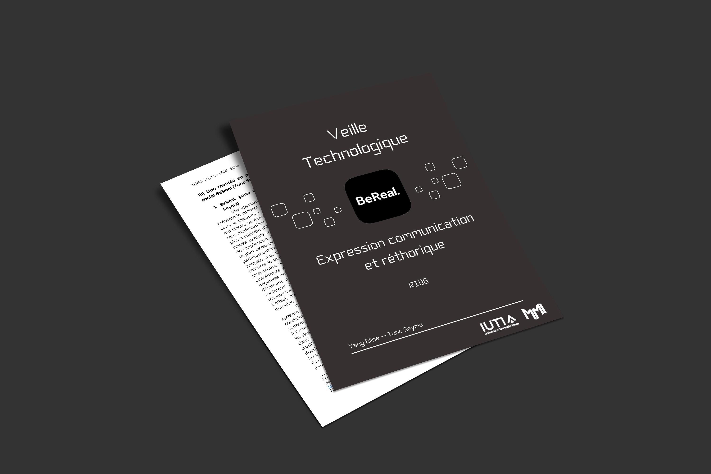 portfolio item thumb